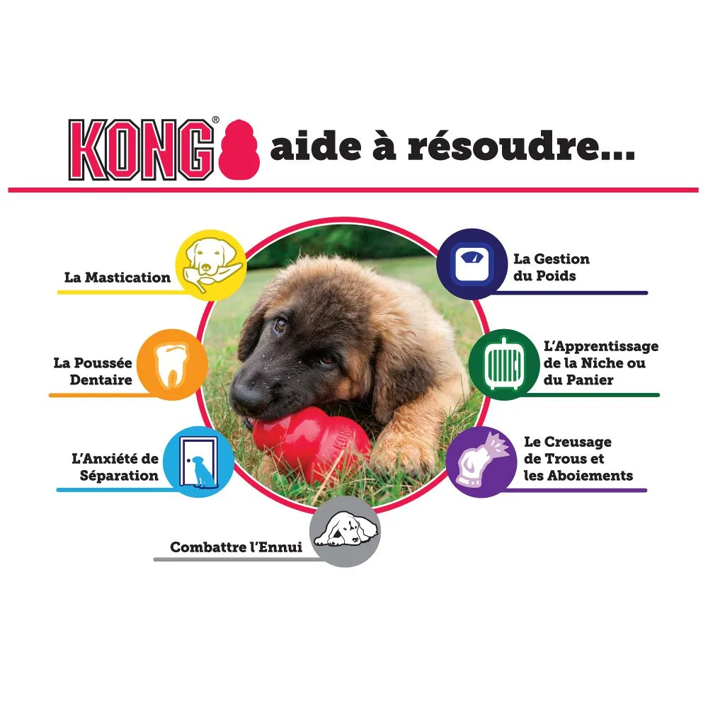KONG - Extreme Ball