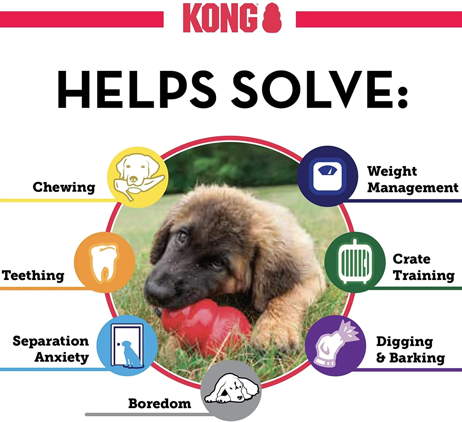 KONG - Extreme Ball
