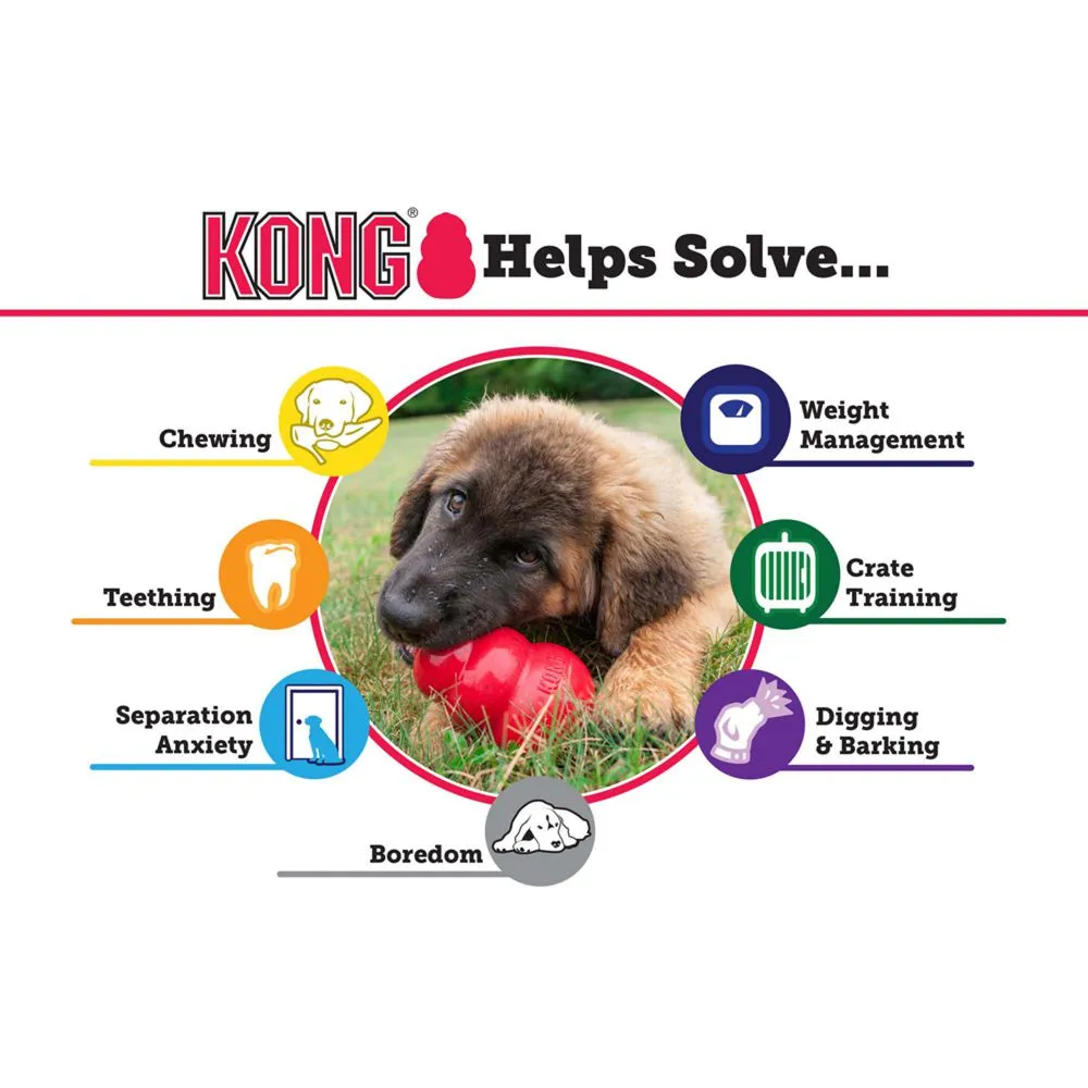KONG Senior Dog Toy - Purple
