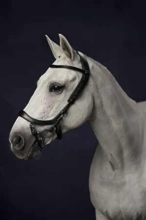 PresTeq FaySport Anatomical Bridle