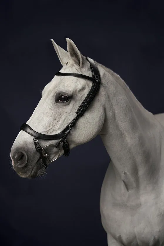 PresTeq FaySport Anatomical Bridle