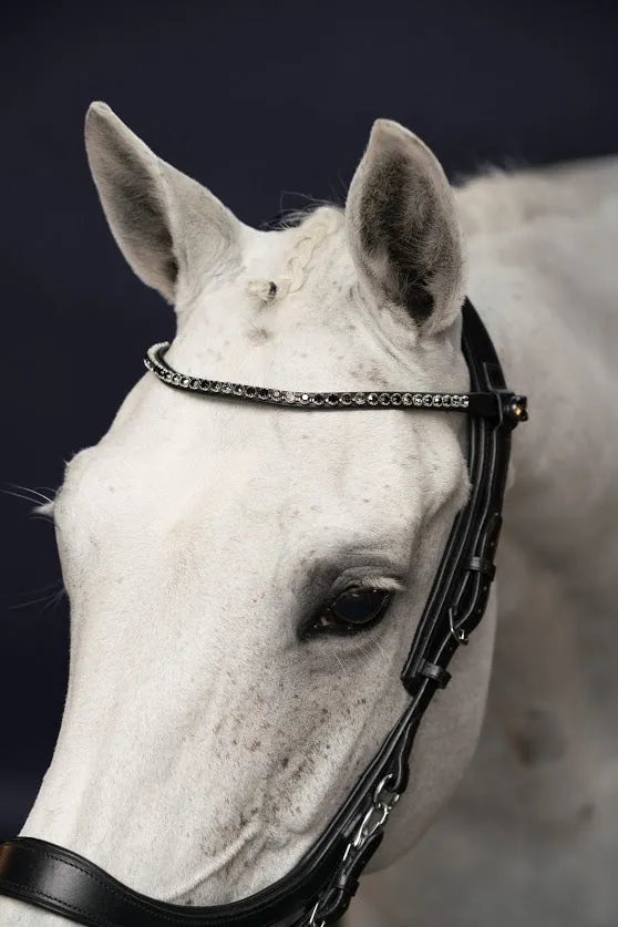 PresTeq FaySport Anatomical Bridle