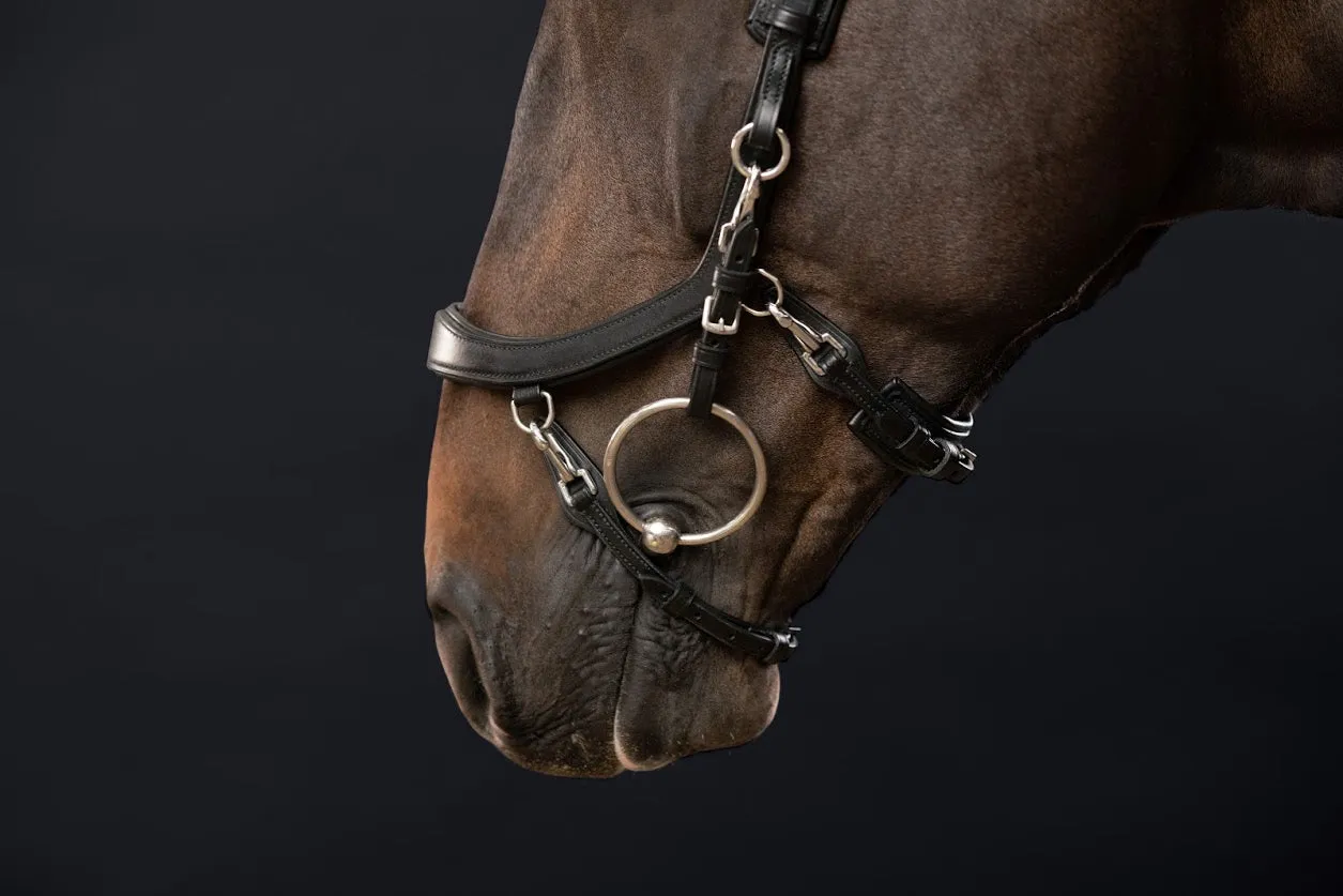 PresTeq FaySport Anatomical Bridle