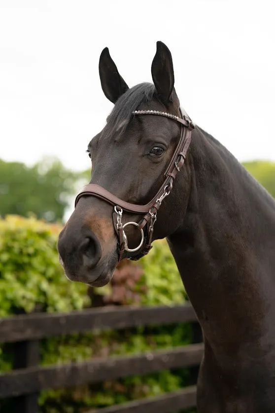PresTeq FaySport Anatomical Bridle