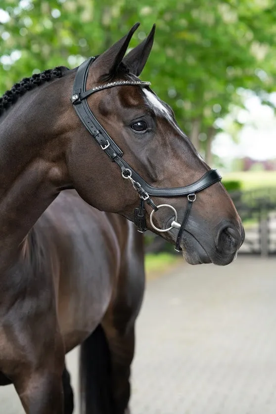 PresTeq FaySport Anatomical Bridle