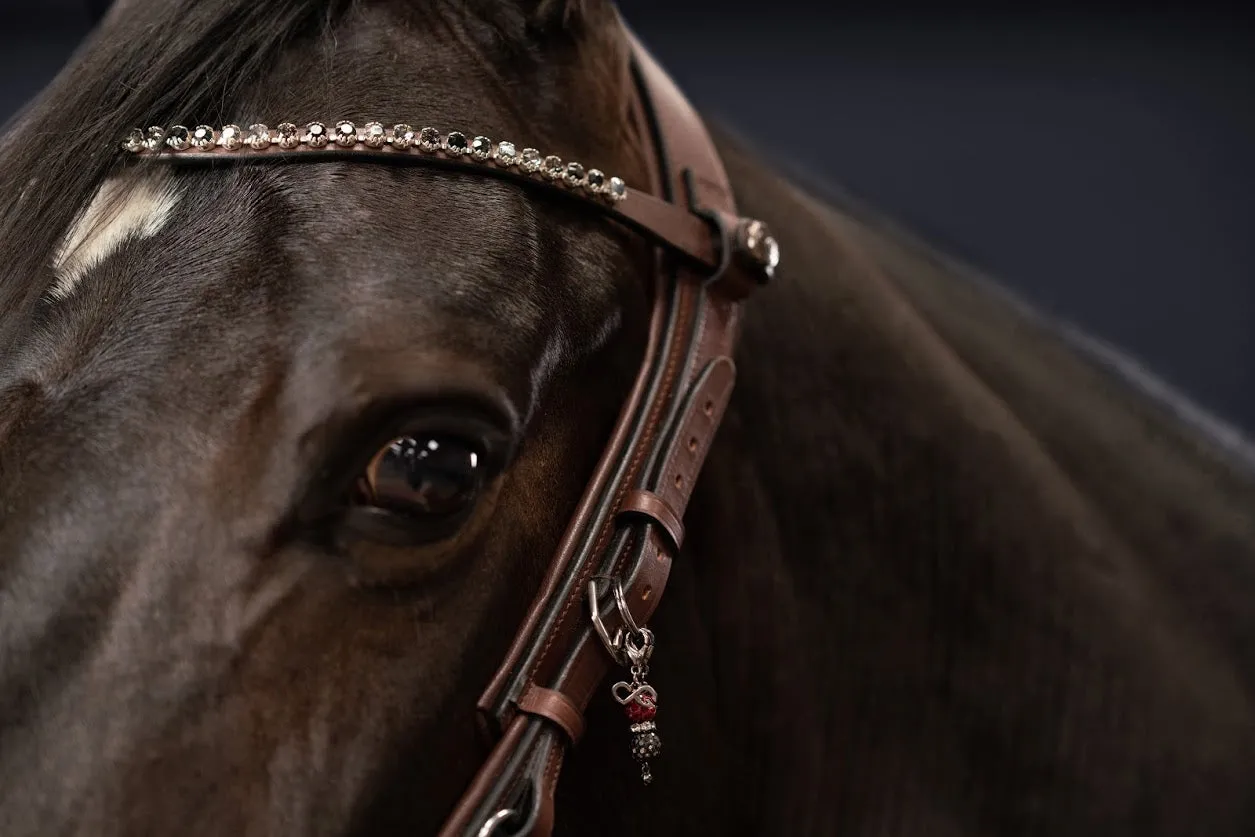 PresTeq FaySport Anatomical Bridle