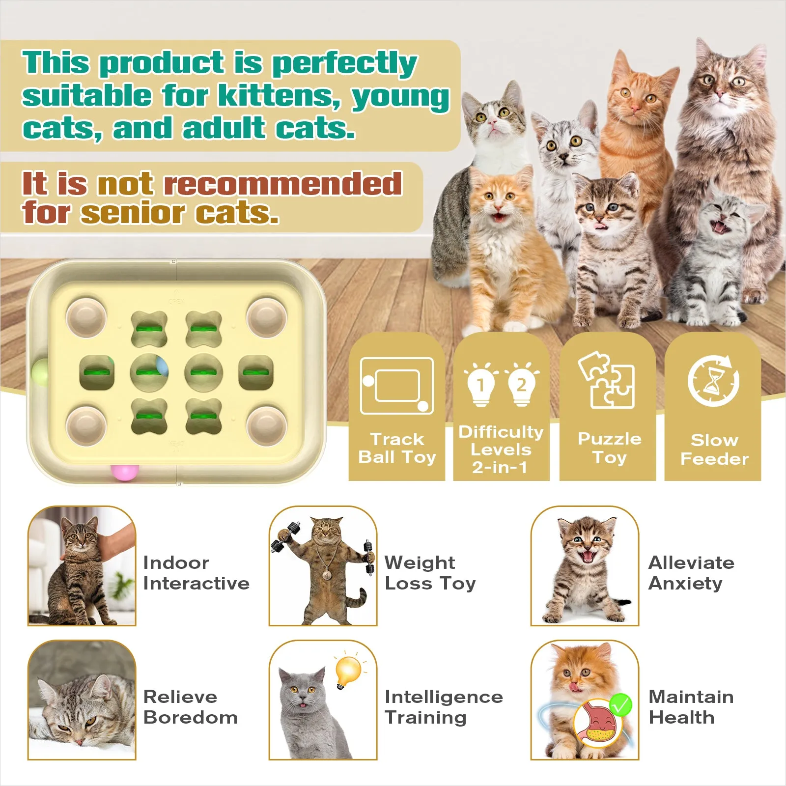 TACKDG 2nd Cats Treasure Chest Cat Puzzle Toy for Kitty Brain Stimulation Toys Kitten Food Treat Puzzles Feeder Dispenser Track Balls Mind Mental Stimulation Interactive Indoor