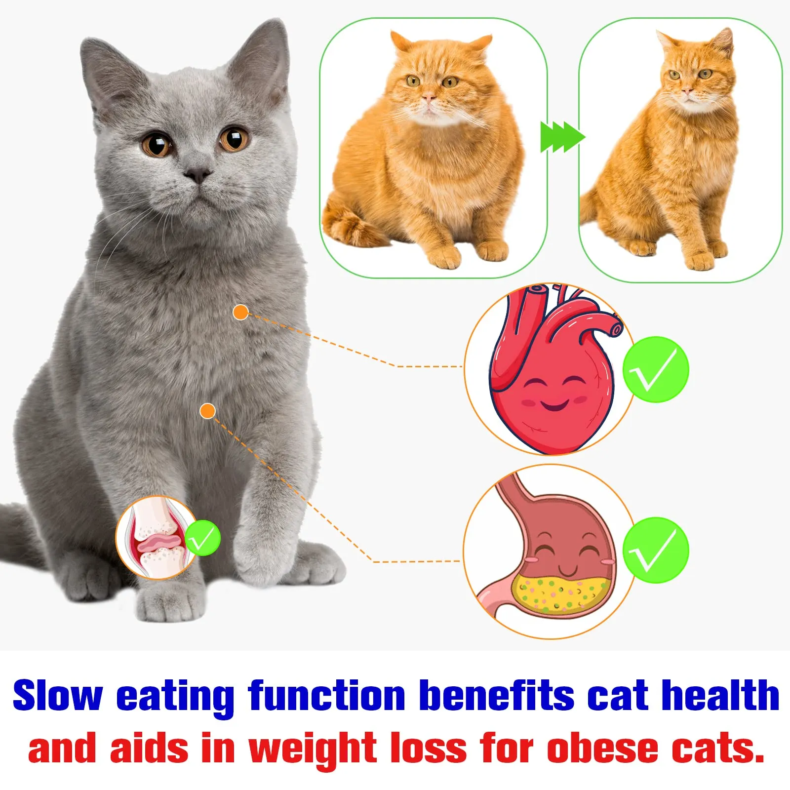 TACKDG 2nd Cats Treasure Chest Cat Puzzle Toy for Kitty Brain Stimulation Toys Kitten Food Treat Puzzles Feeder Dispenser Track Balls Mind Mental Stimulation Interactive Indoor
