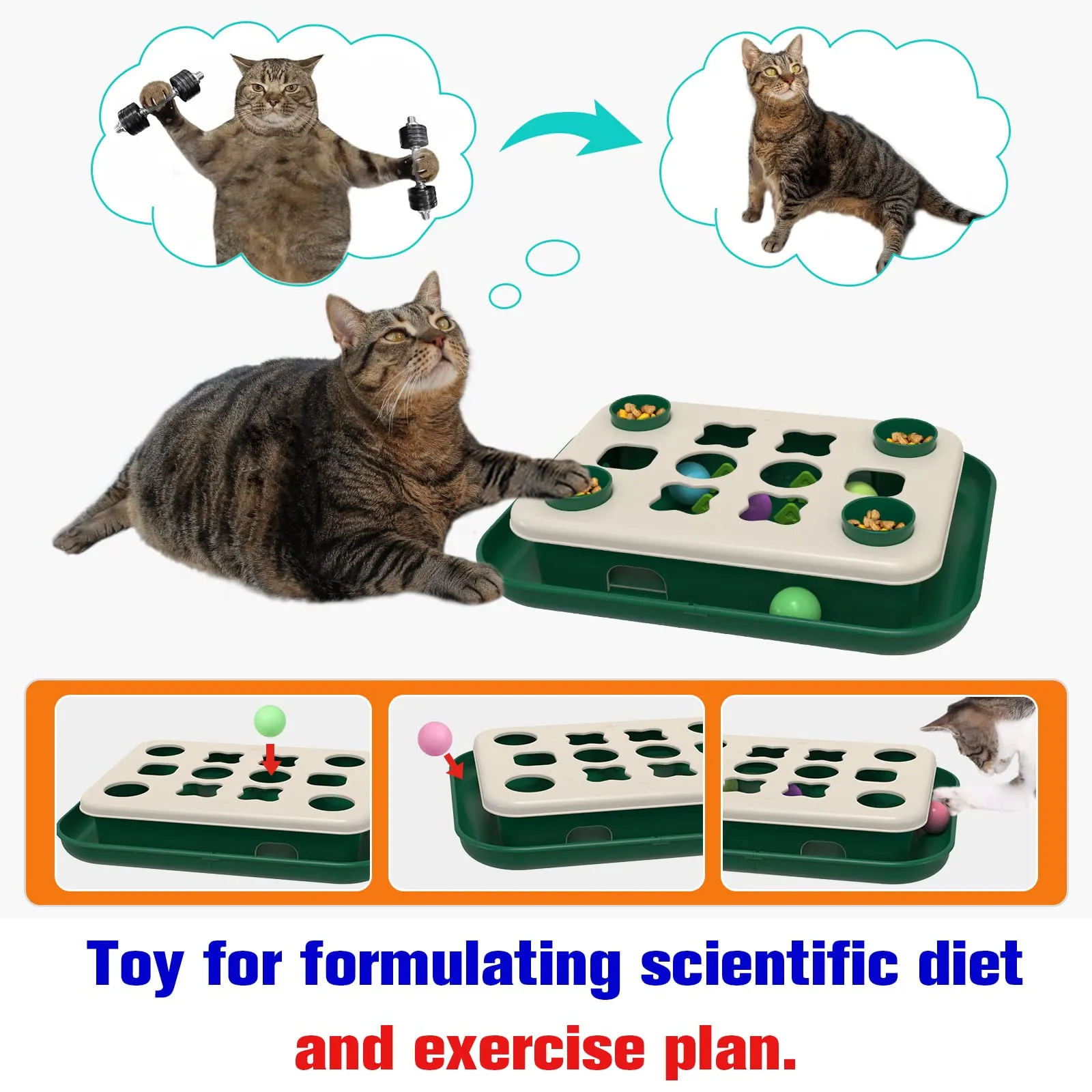 TACKDG 2nd Cats Treasure Chest Cat Puzzle Toy for Kitty Brain Stimulation Toys Kitten Food Treat Puzzles Feeder Dispenser Track Balls Mind Mental Stimulation Interactive Indoor