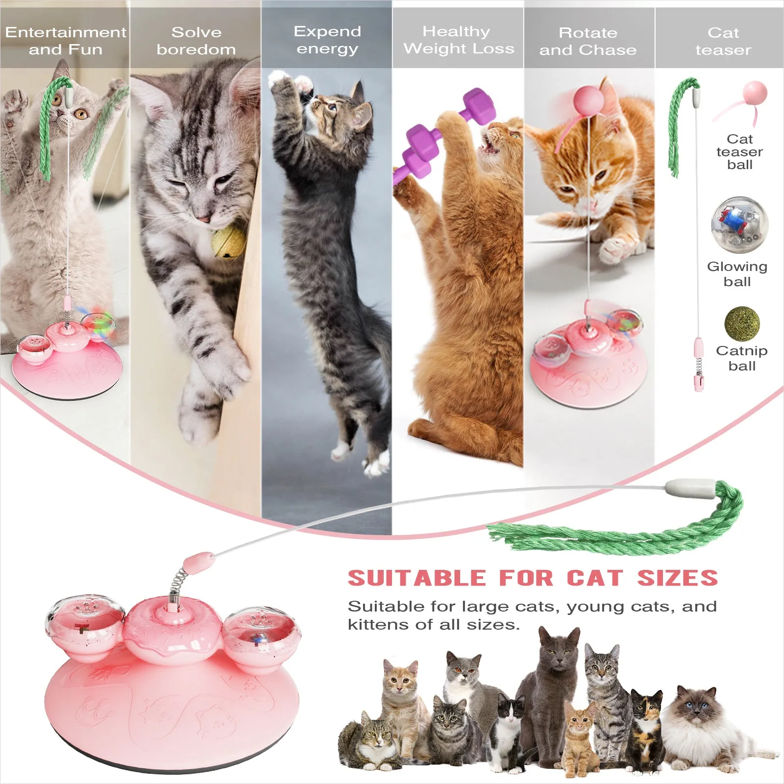 TACKDG Doughnut Cat Toy Kitten Kitty Treat/Food Puzzles