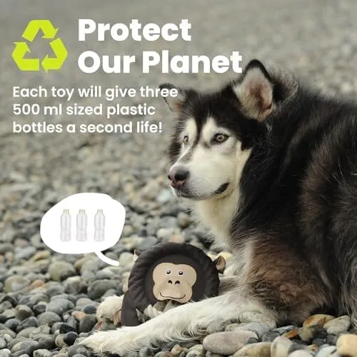 Toss and Throw Tug Toy, Eco-Friendly Indestructible Dog Toys