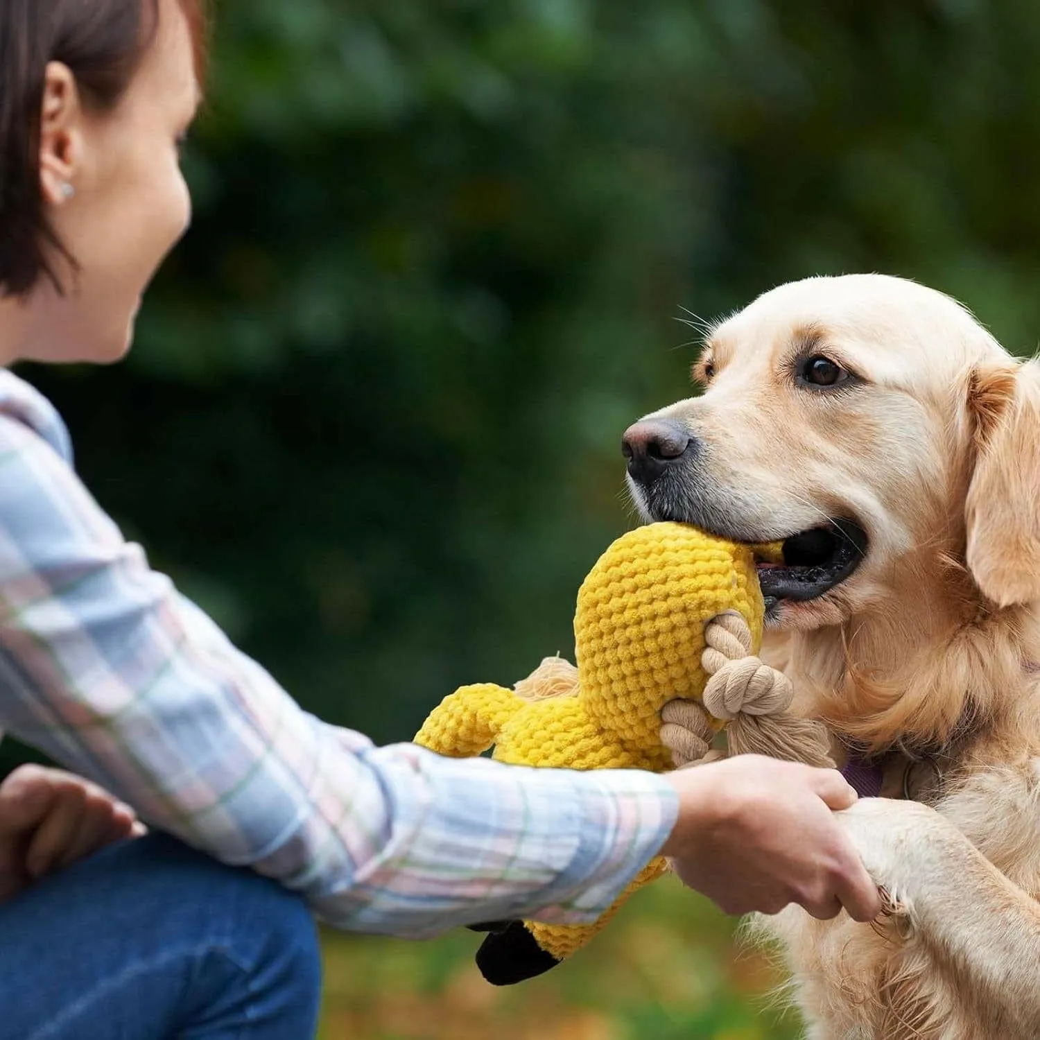 Ultimate Squeaky Dog Chew Toy - Durable Crinkle & Rope Toys for Teeth Cleaning